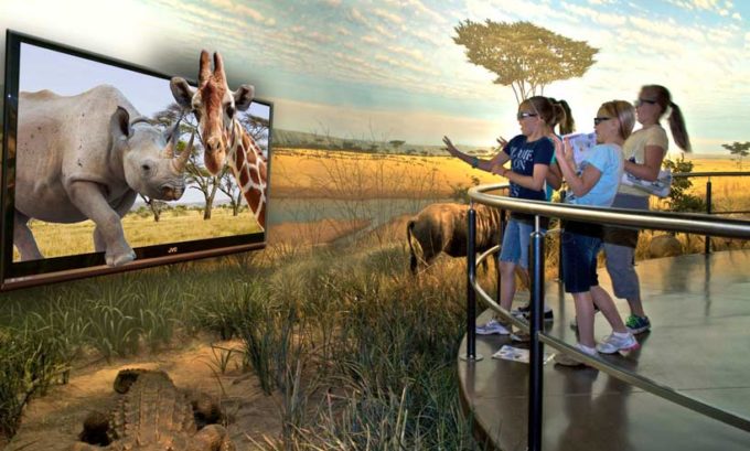 Building Addition Wildlife Experience Globeology African Savanna Exhibit