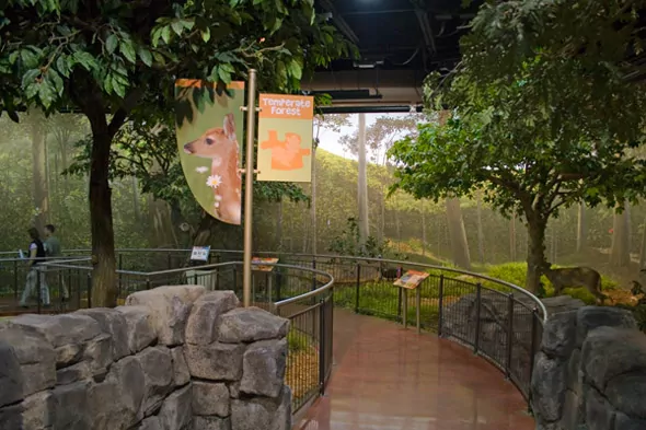 Wildlife Experience Globeology Building Addition Temperate Forest Exhibit