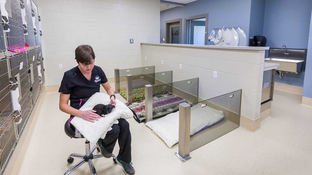 Riverdale Animal Shelter Lost And Found The Riverdale Stories